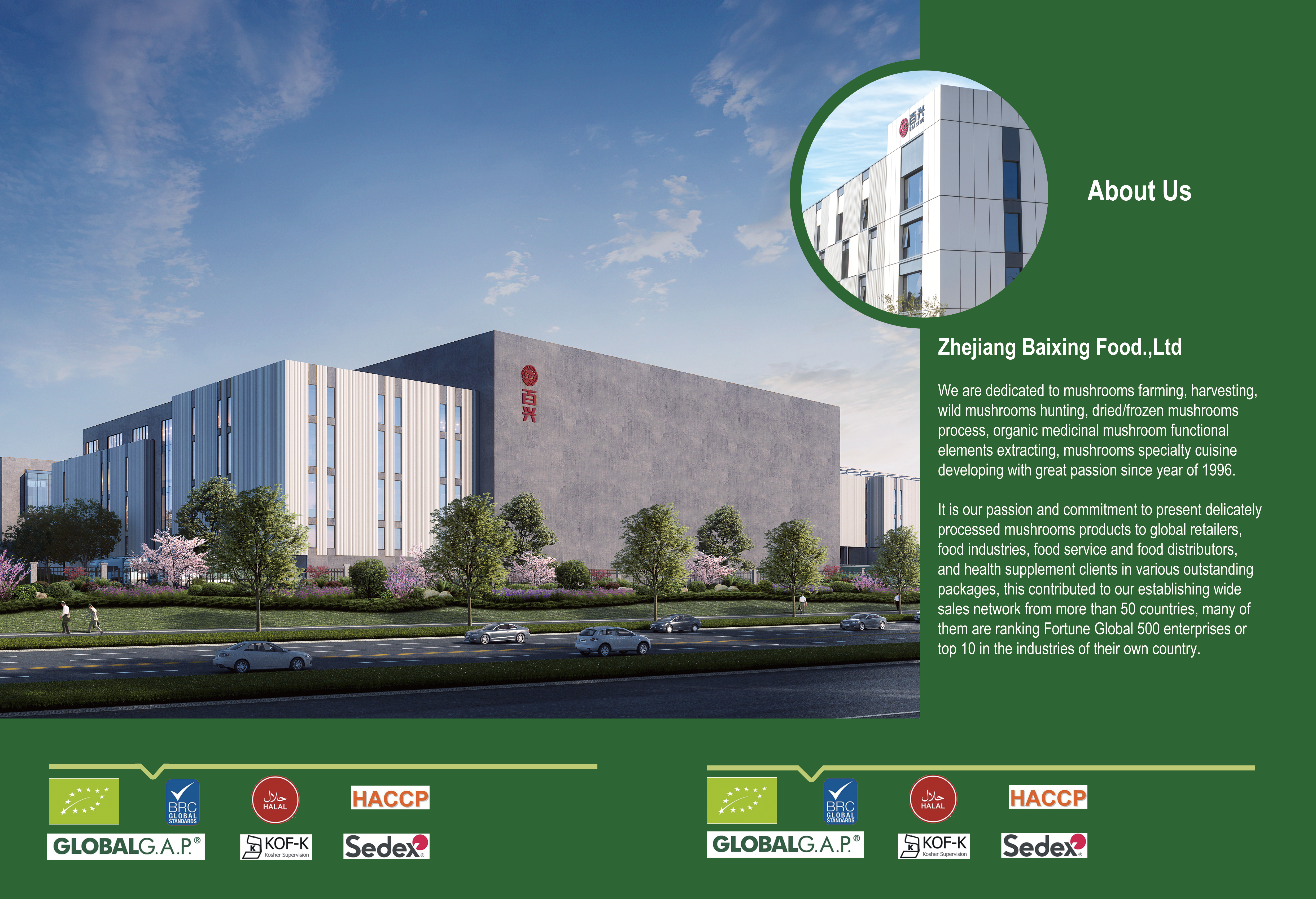 zhejiang baixing food co.,ltd.png 