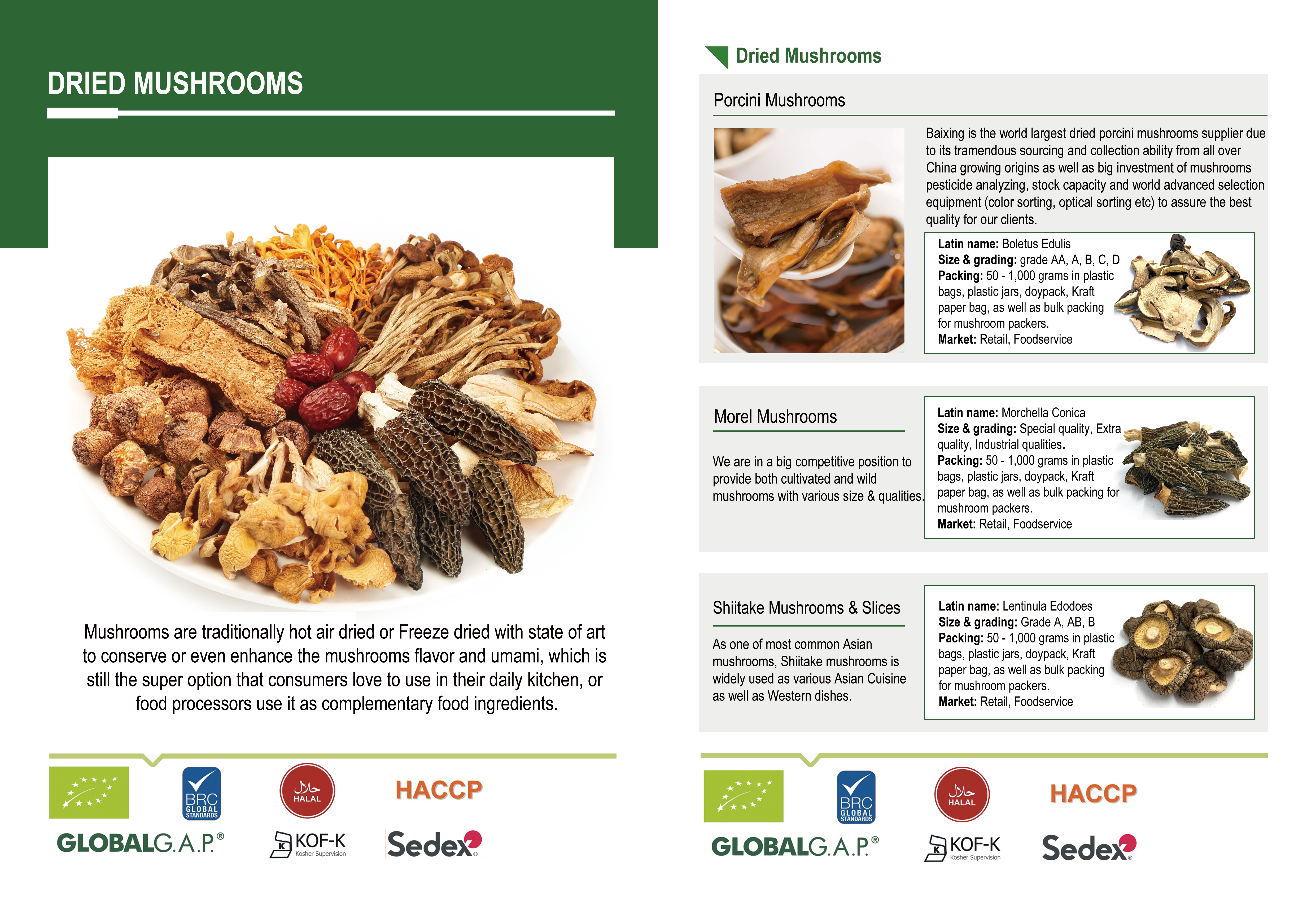 dried mushrooms.png 